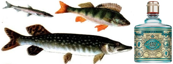 Що корисніше, потрійний одеколон чи потрійна юха? Що корисніше, потрійний одеколон чи потрійна юха?