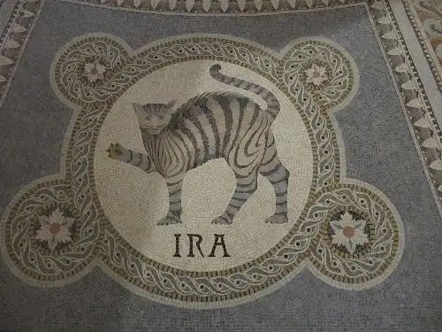 Гнів