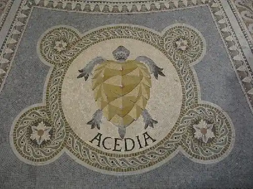 Зневіра 