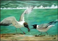 Дама без собачки Чайки